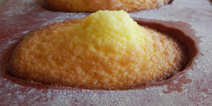 Madeleines